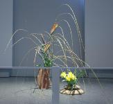 27 - Raina Ho.jpg 4.6K